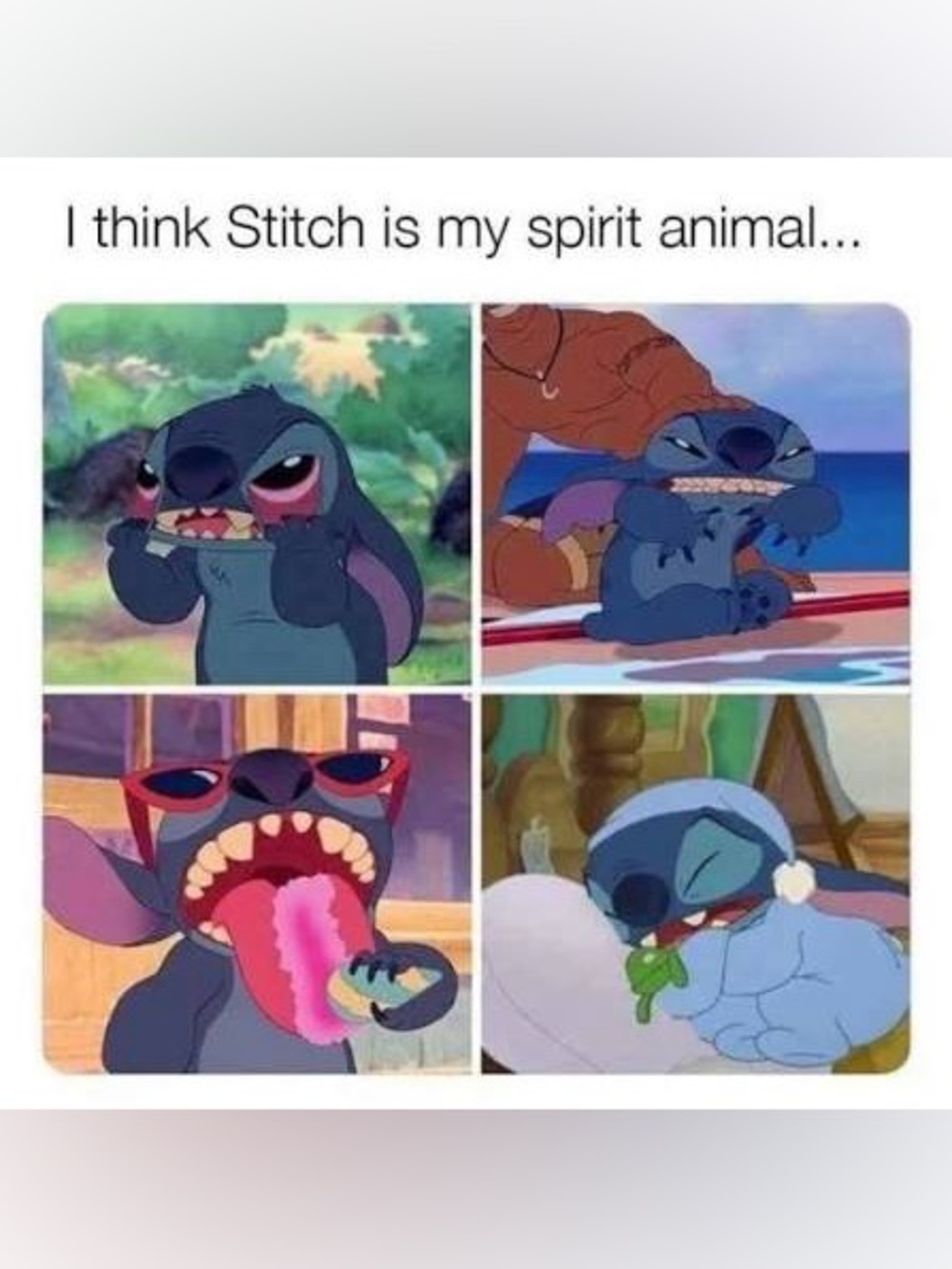Stitch Bundle